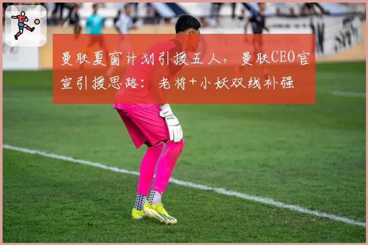 曼联夏窗计划引援五人，曼联CEO官宣引援思路：老将+小妖双线补强