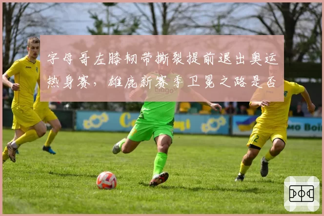 字母哥左膝韧带撕裂提前退出奥运热身赛,雄鹿新赛季卫冕之路是否就此终结?