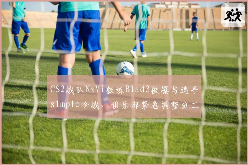 CS2战队NaVi教练B1ad3被爆与选手s1mple冷战,俱乐部紧急调整分工