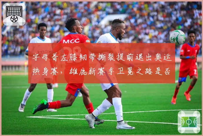 字母哥左膝韧带撕裂提前退出奥运热身赛,雄鹿新赛季卫冕之路是否就此终结?